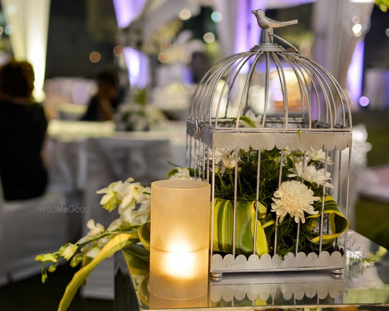 Pixie Owls - Price & Reviews | Gurgaon Decorator