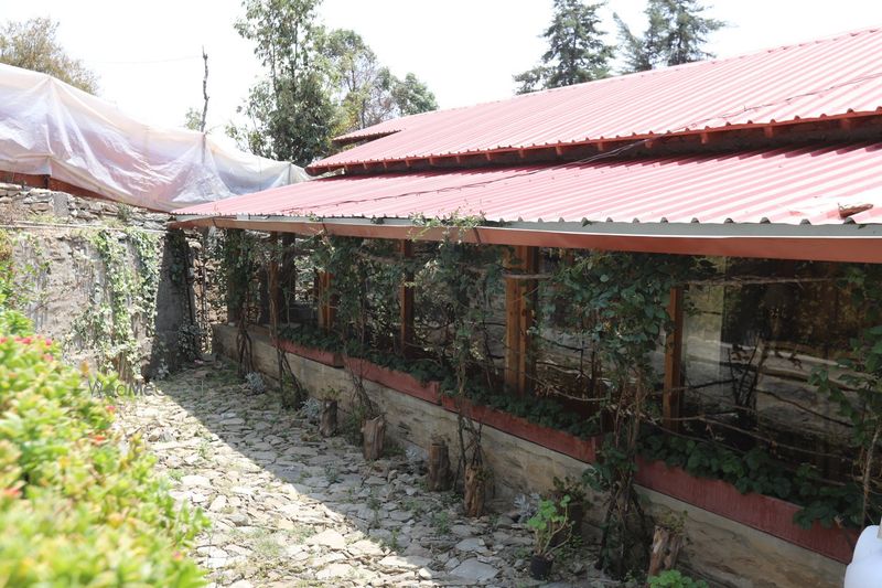 Chalets at Miseltoe Estate