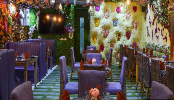 Mellow Garden rajouri garden
