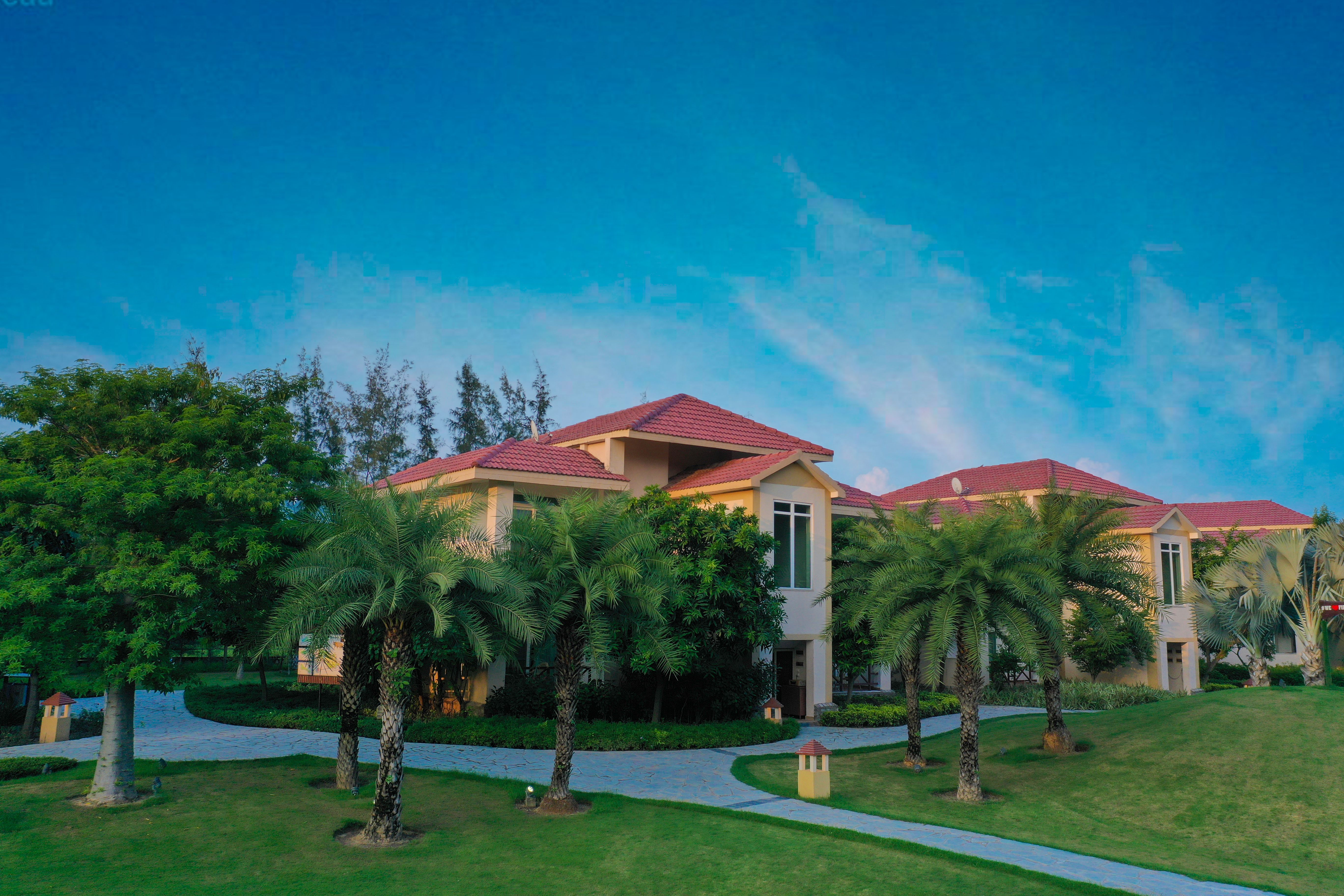 portfolio-image