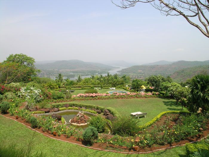 portfolio-image