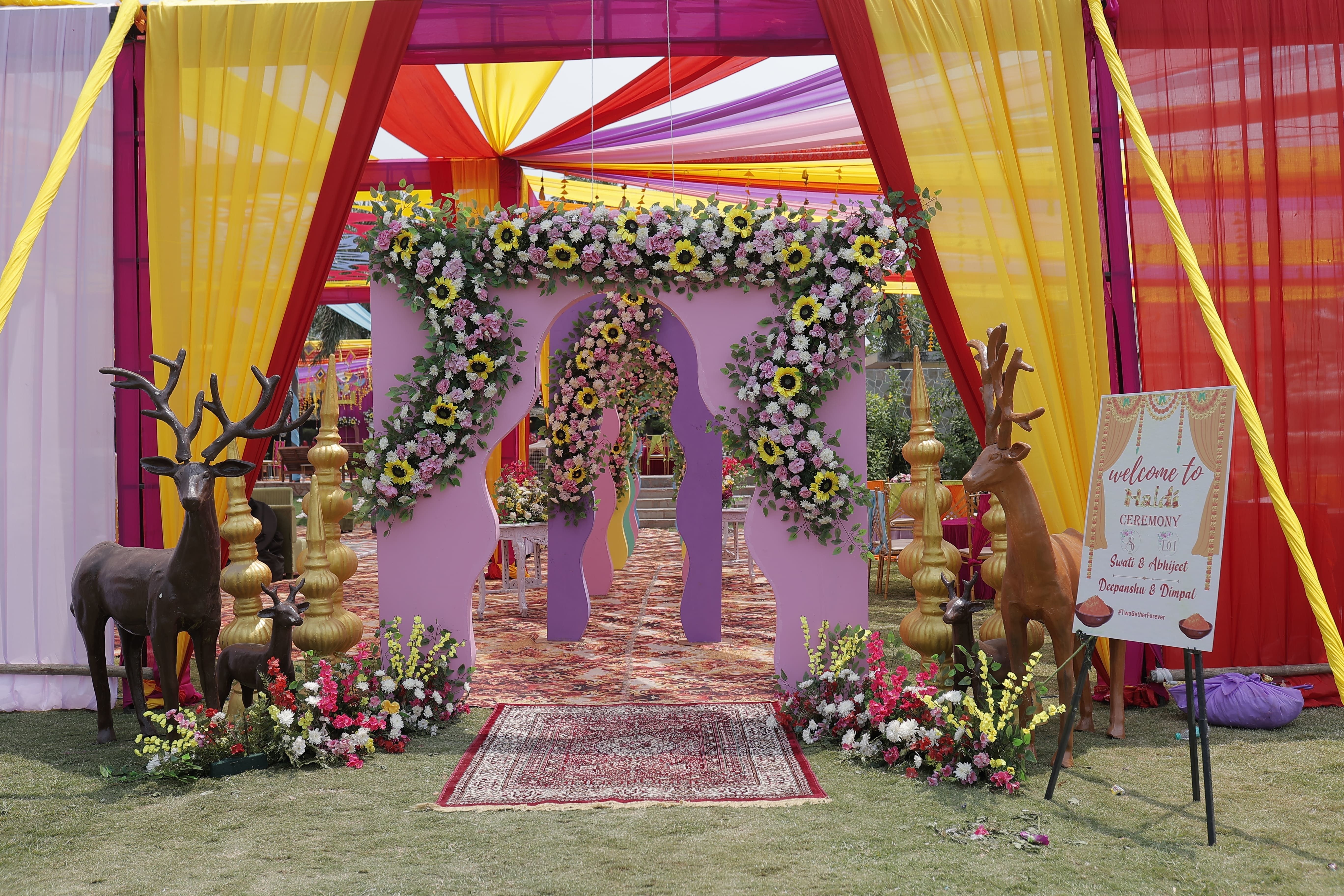 portfolio-image