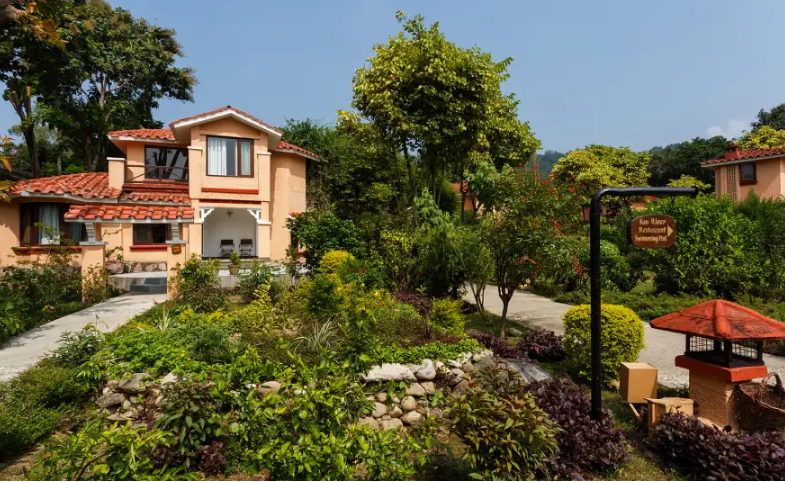 portfolio-image